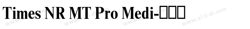 Times NR MT Pro Medi字体转换